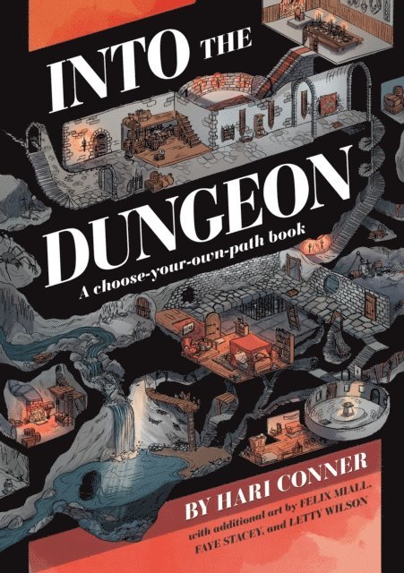 Hari Conner - Into the Dungeon, E-bok