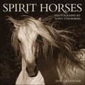 Spirit Horses 2025 Wall Calendar by Tony Stromberg