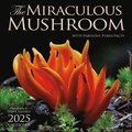 The Miraculous Mushroom 2025 Wall Calendar: With Fabulous Fungi Facts