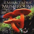 Miraculous Mushroom 2026 Wall Calendar