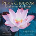 Pema Chdrn 2026 Wall Calendar