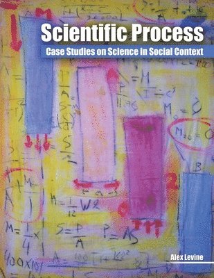 Alex Levine - Scientific Process: Case Studies on Science in Social Context, Häftad