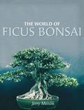 World of Ficus Bonsai