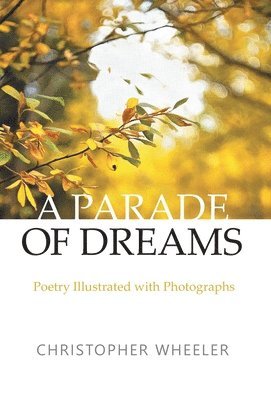 Christopher Wheeler - Parade of Dreams, Inbunden. Tillgänglighet: Lägg i varukorg