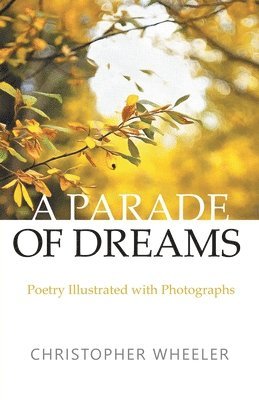Christopher Wheeler - Parade of Dreams, Häftad. Tillgänglighet: Lägg i varukorg
