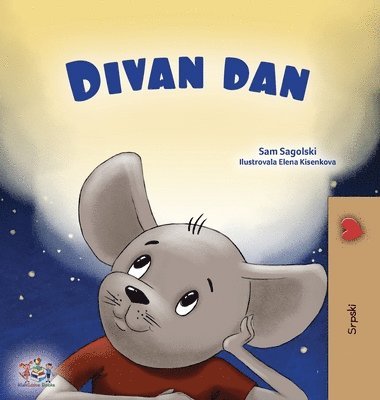 Sam Sagolski, Kidkiddos Books - A Wonderful Day (Serbian Children's Book - Latin Alphabet), Inbunden