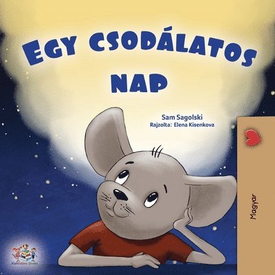 Sam Sagolski, Kidkiddos Books, KidKiddos Books - A Wonderful Day (Hungarian Children's Book), Häftad