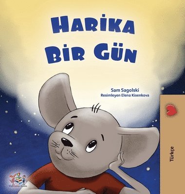 Sam Sagolski, Kidkiddos Books - A Wonderful Day (Turkish Book for Children), Inbunden