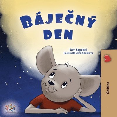 Sam Sagolski, Kidkiddos Books - A Wonderful Day (Czech Book for Children), Häftad
