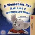 A Wonderful Day (English Albanian Bilingual Children's Book)