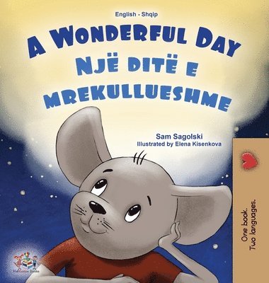 Sam Sagolski, Kidkiddos Books - A Wonderful Day (English Albanian Bilingual Children's Book), Inbunden