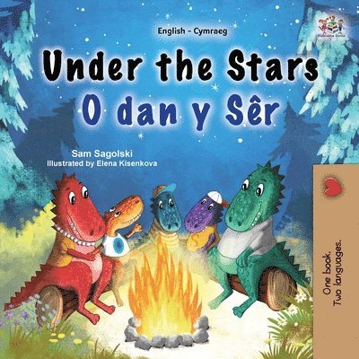 Sam Sagolski, Kidkiddos Books - Under the Stars (English Welsh Bilingual Kids Book), Häftad