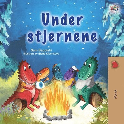 Sam Sagolski, Kidkiddos Books - Under the Stars (Norwegian Kids Book), Häftad