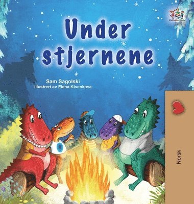 Sam Sagolski, Kidkiddos Books - Under the Stars (Norwegian Kids Book), Inbunden