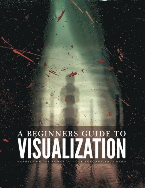 Tiago Silva - Beginners Guide To Visualization, E-bok
