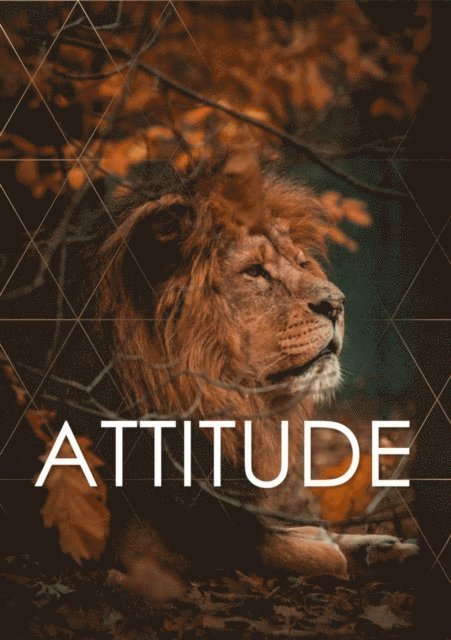 Karen - ATTITUDE, E-bok