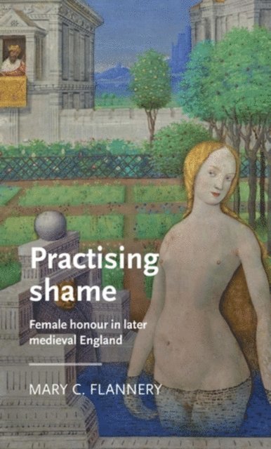 Mary C. Flannery - Practising Shame, E-bok