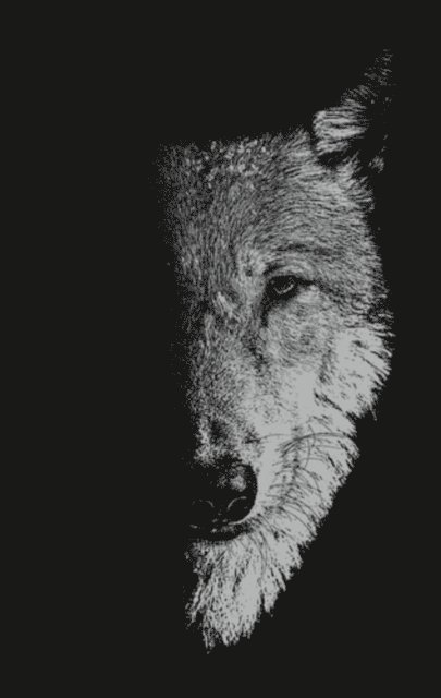 Sam George, Bill Hughes - In the Company of Wolves, E-bok