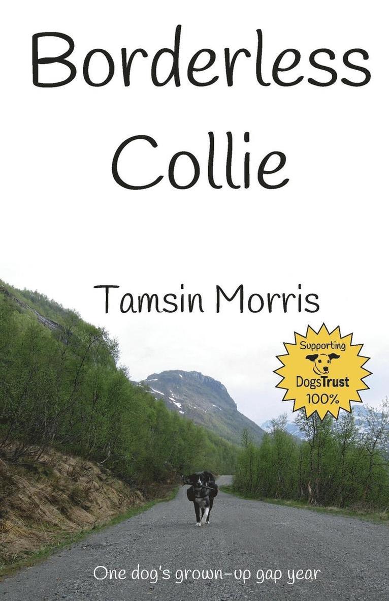 Tamsin Morris - Borderless Collie, Häftad. Tillgänglighet: Lägg i varukorg