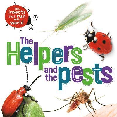 Sarah Ridley - Insects that Run Our World: The Helpers and the Pests, Häftad. Tillgänglighet: Lägg i varukorg