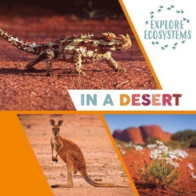 Sarah Ridley - Explore Ecosystems: In a Desert, Häftad. Tillgänglighet: Lägg i varukorg