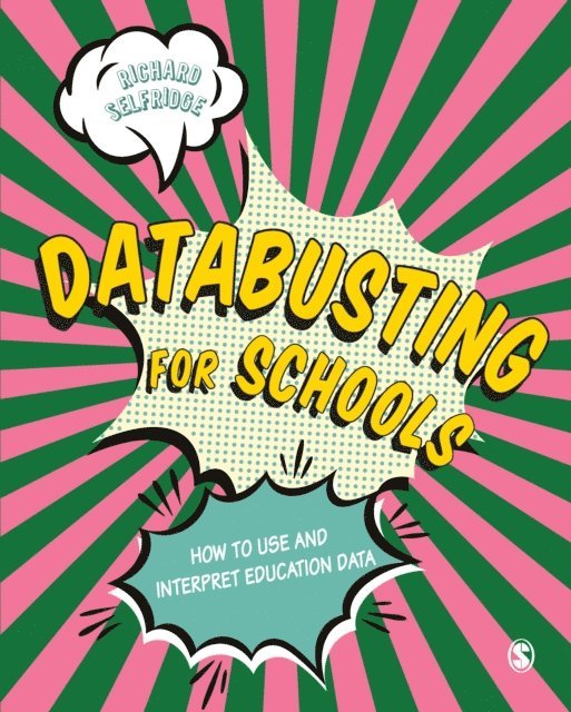Richard Selfridge - Databusting for Schools, E-bok