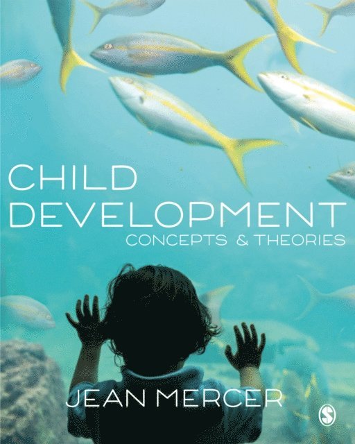 Jean A. Mercer - Child Development, E-bok