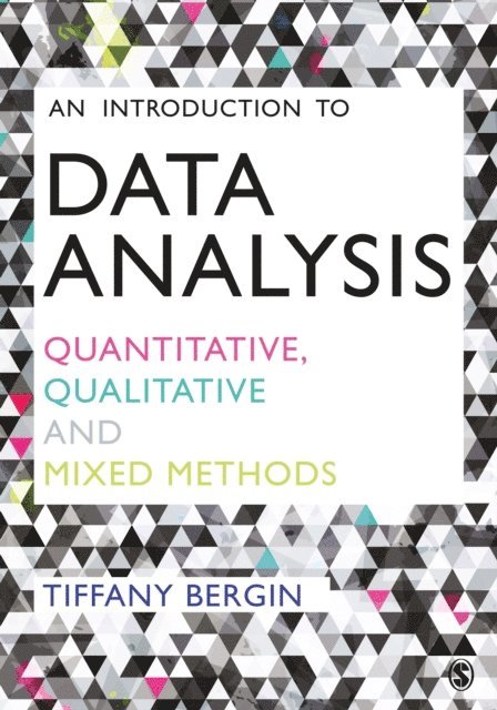 Tiffany Bergin - Introduction to Data Analysis, E-bok