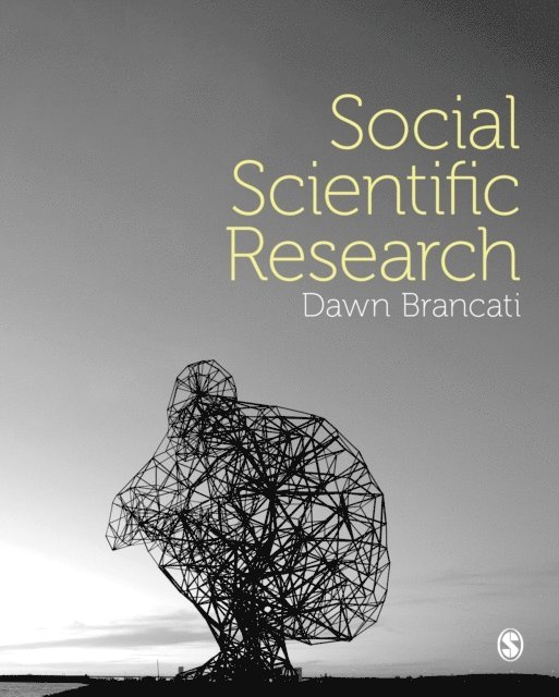 Dawn Brancati - Social Scientific Research, E-bok
