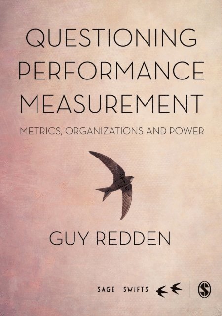 Guy Redden - Questioning Performance Measurement: Metrics, Organizations and Power, E-bok