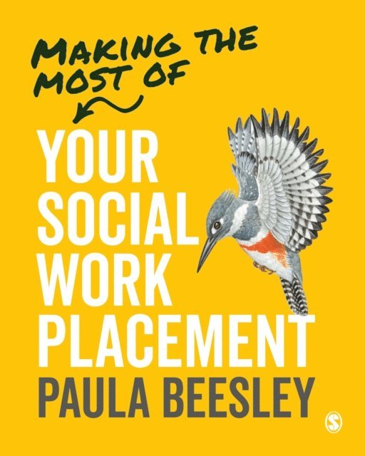 Paula Beesley - Making the Most of Your Social Work Placement, E-bok
