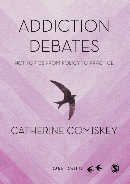 Catherine Comiskey - Addiction Debates, E-bok