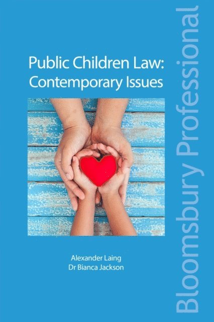 Alexander Laing, Bianca Jackson - Public Children Law: Contemporary Issues, E-bok