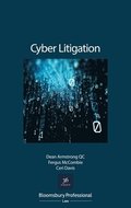 Cyber Litigation: The Legal Principles