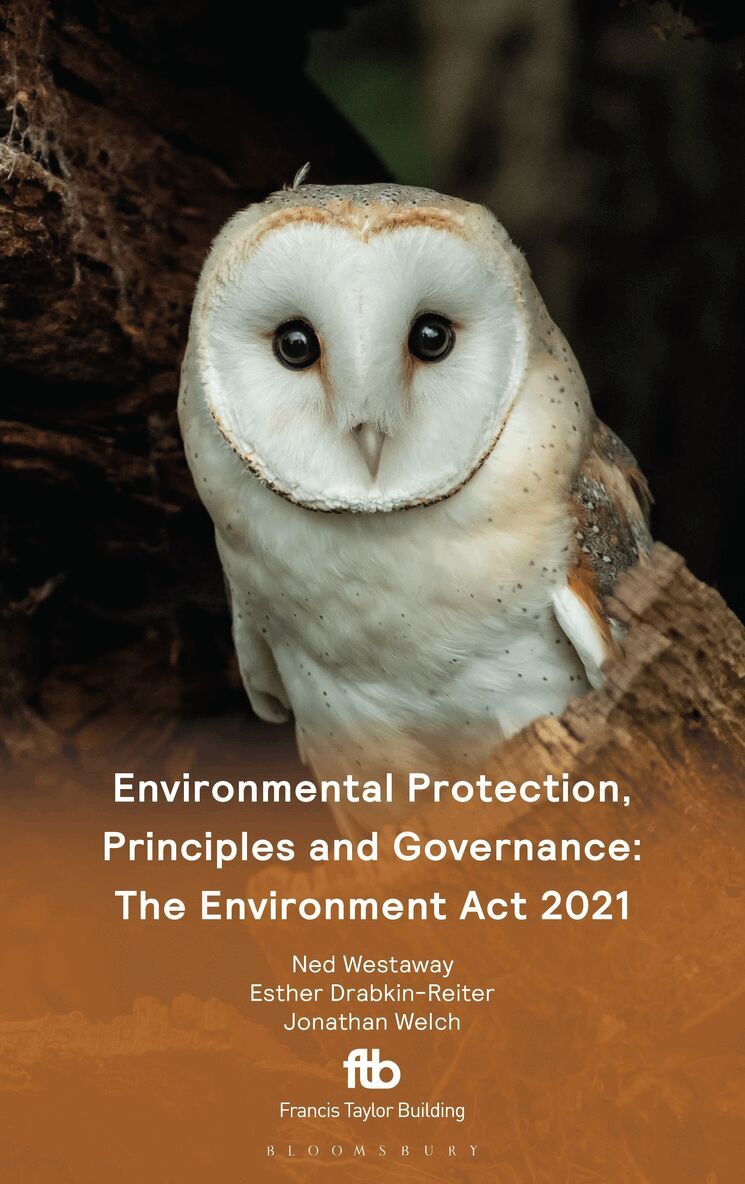 Esther Drabkin-Reiter, Jonathan Welch, Ned Westaway - Environmental Protection, Principles and Governance, Häftad