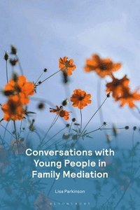 Conversations with Young People in Family Mediation