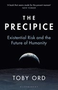 Precipice