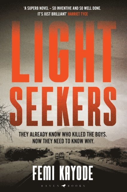 Femi Kayode - Lightseekers, E-bok