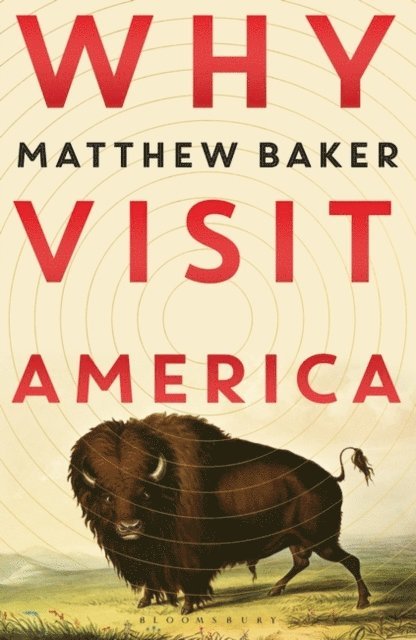 Matthew Baker - Why Visit America, E-bok