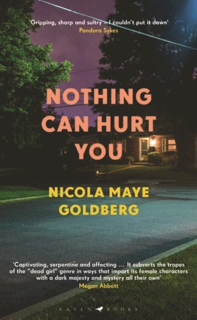 Nicola Maye Goldberg - Nothing Can Hurt You, E-bok