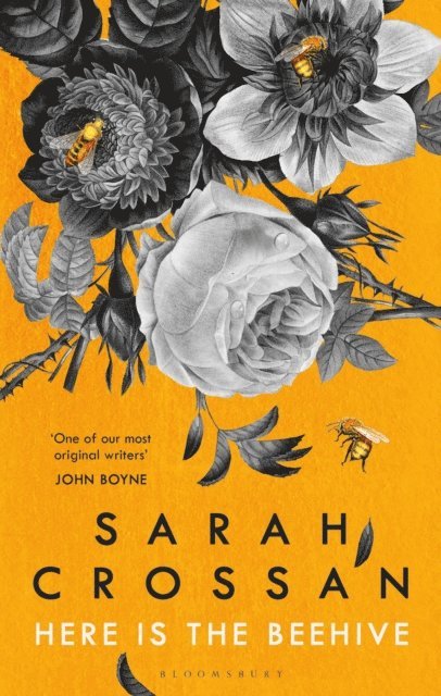 Sarah Crossan - Here is the Beehive, E-bok