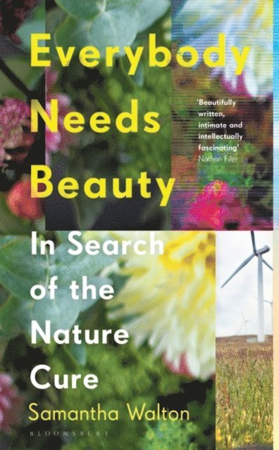 Samantha Walton - Everybody Needs Beauty, E-bok