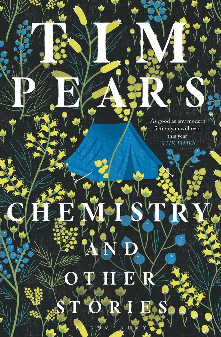 Tim Pears - Chemistry and Other Stories, Häftad. Tillgänglighet: Lägg i varukorg