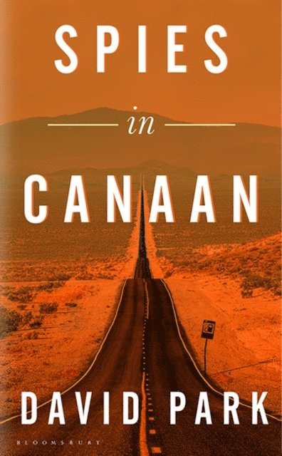 David Park - Spies in Canaan, E-bok