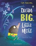 Dream Big, Little Mole