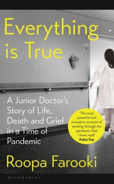 Roopa Farooki - Everything is True, E-bok