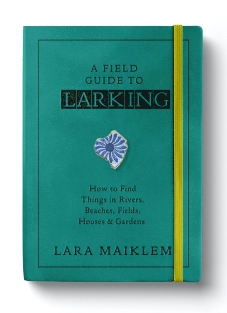 Lara Maiklem - Field Guide to Larking, E-bok
