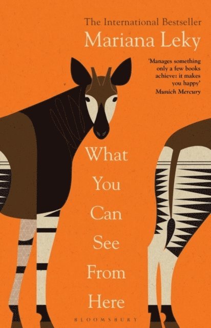 Mariana Leky - What You Can See From Here, E-bok