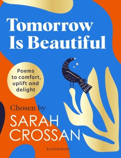 Sarah Crossan - Tomorrow Is Beautiful, E-bok