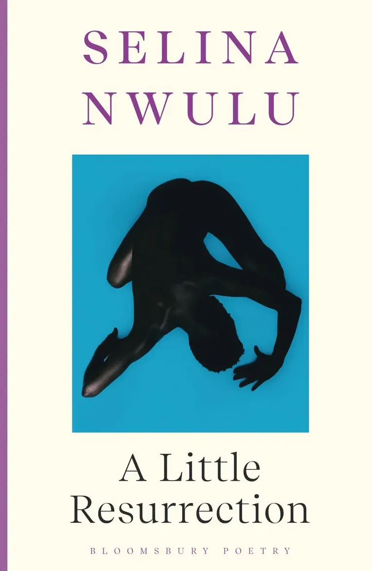 Selina Nwulu - Little Resurrection, Häftad. Tillgänglighet: Lägg i varukorg